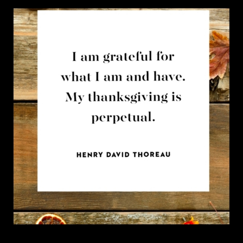 Sale $15 Minimum - image 7